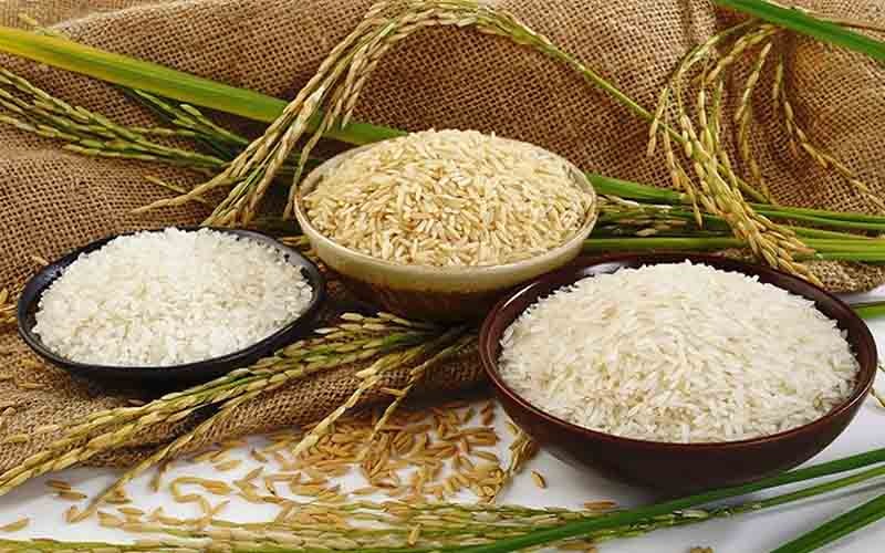 عکس ثبت برنج